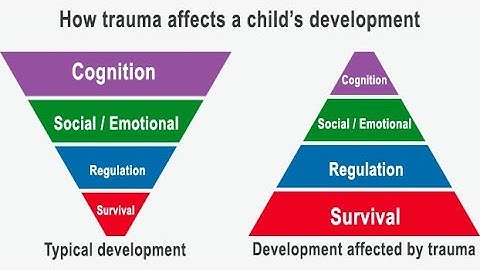 Creating Safe Spaces: Trauma-Informed Education with Peggy Seigel (4 Minutes)