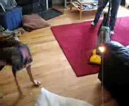 Fritz vs. Vacuum Cleaner