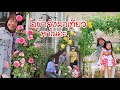 โอบ้าจังมาเที่ยวหาโนอะ(เพื่อนบ้านเก่า) อบอุ่นหายคิดถึงชมสวนกุหลาบ สนุกแค่ไหนไปดูกันค่ะ
