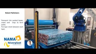 Frozen Meat _ Robotic palletizer _ Niverplast