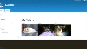 DrupalCon Los Angeles 2015: Features for Drupal 8