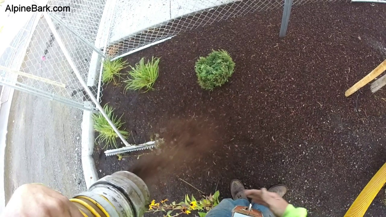 Fresh Fine Bark Mulch Blowing YouTube