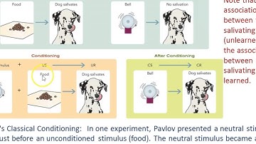 Introduction to Psychology:  Chapter 5   (Part 1 or 2)
