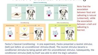 Introduction to Psychology:  Chapter 5   (Part 1 or 2)