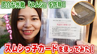 A new product for preventing mites! Putting mites cards into the