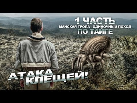 видео: 18+ Часть 1. Манская тропа, заповедник, клещи, тайга, превозмогания, телочек нет, Поход.