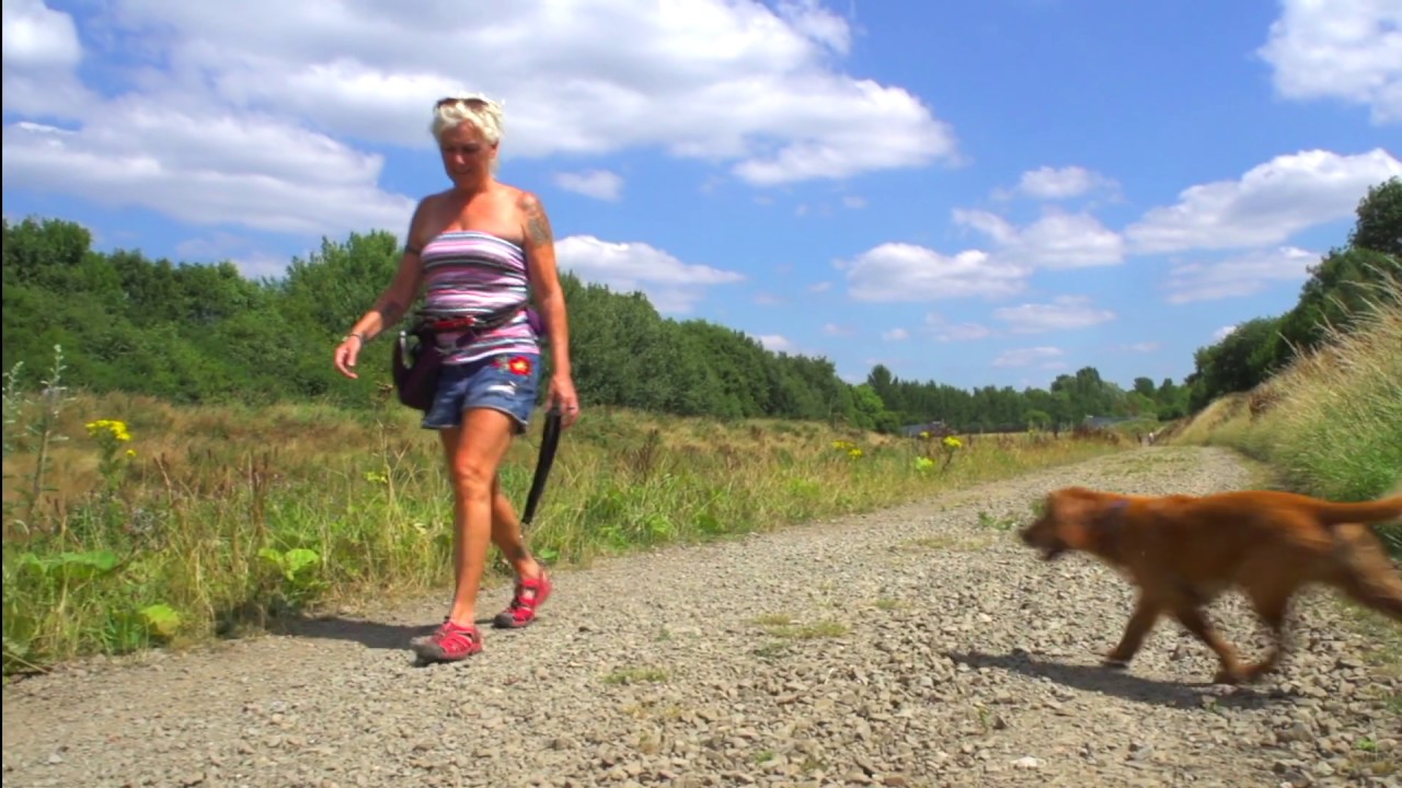 K 9 to 5 dog walking and pet care services South Manchester