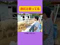 これは差別だよ #月曜から夜ふかし #マツコ #あるある #お笑い