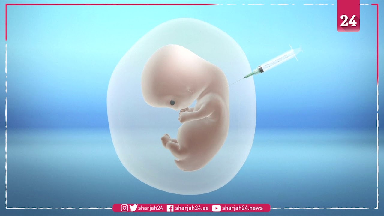 Chinese scientists add human brain genes into monkeys