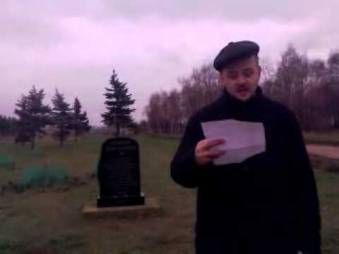 кедровая аллея в парке строгино