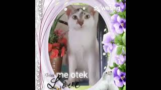 Joget Anak Gembala cover By Azreenu0026zue