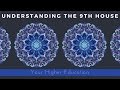 Understanding The 9th House | Your Higher Education