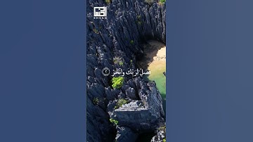 سورة الكوثر | تلاوة خاشعة للقارئ فارس عباد 🌸