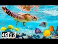 Ocean of Serenity 4K | Relaxing Music with Underwater Wonders - The Best 4K Sea Animals