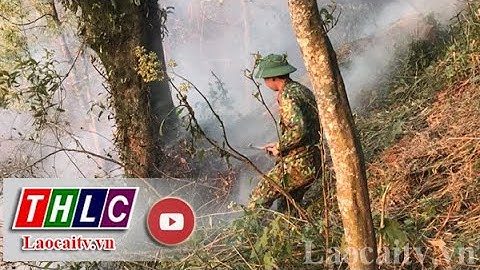 Cơ bản khống chế, dập tắt cháy rừng trên địa bàn Sa Pa | THLC
