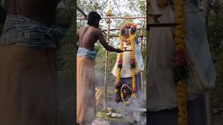 தீப ஆராதனை கான்சா சுடலை கோவில்  || தருவை || திருநெல்வேலி