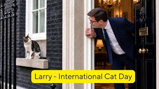 Larry, The Downing Street Cat  - International Cat Day