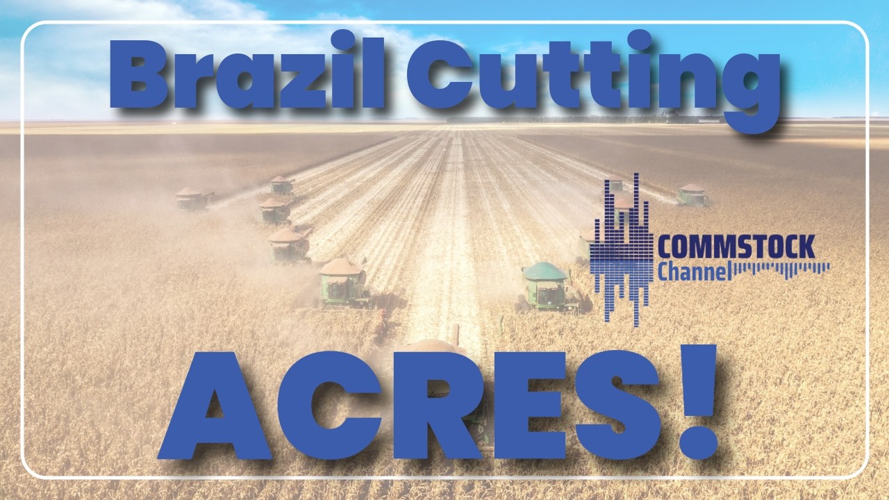 Can Brazil Cut 6.5 Million Soybean Acres Again? With Matthew Kruse ...