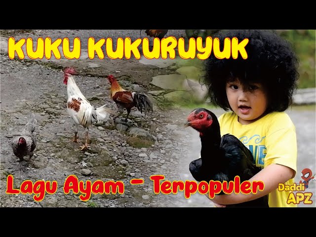 Lagu Ayam Populer Banget - Kuku Kukuruyuk -  Lagu anak indonesia class=