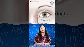 Learn English Fast – Body Parts Lesson | Free Spoken English Classes