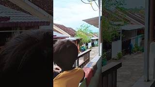 Observing on the terrace #shorts #viral #trending #youtubeshorts #short #ytshorts #shortvideo #fy...
