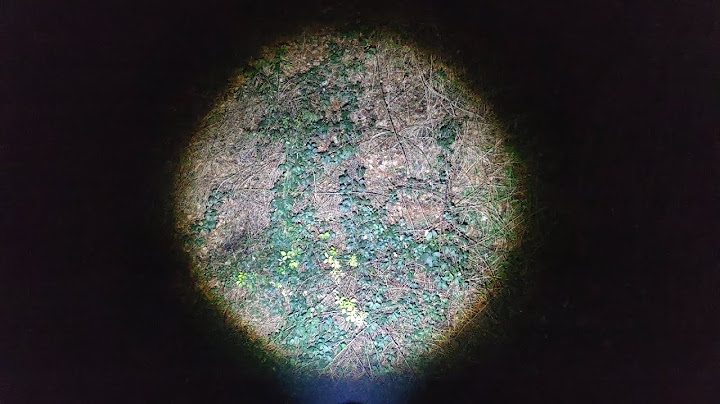 Am cumpărat cea mai periculoasă Lanternă. Am intrat în pădure pot vedea și cel mai mic animal.