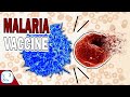 Can Two Malaria Vaccines Eradicate Malaria?