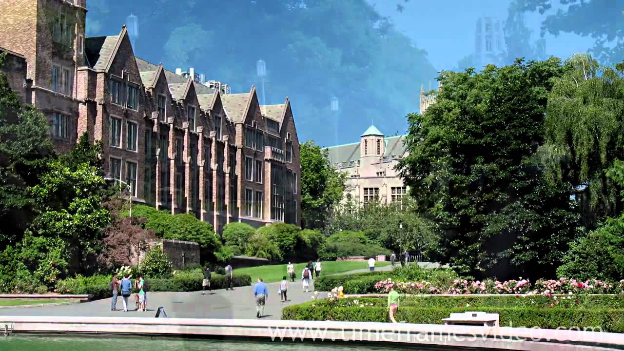 UW: UNIVERSITY OF WASHINGTON IN SEATTLE PART 4 YouTube UW: UNIVERSITY OF WASHINGTON IN SEATTLE PART 4 YouTube