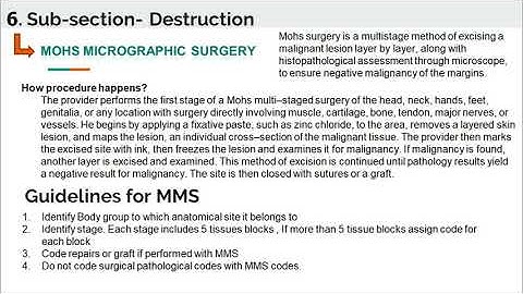 Integumentary system - Mohs Micrograhic surgery - Current Procedural Terminology