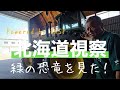 西南農場が別世界すぎた!緑の恐竜に出会う旅⁉