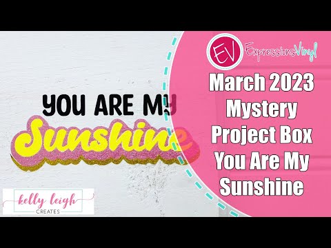 March 2023 Mystery Project Box You are my Sunshine Sign