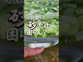 【鉄分野菜 #貧血対策 #料理 】コスパいい小松菜の砂、汚れの取り方