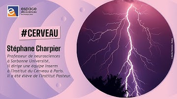 ✨ [Stéphane Charpier] Mort de la conscience et conscience de la mort