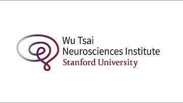 Individual and time-varying mechanisms of decision-making - Ilana Witten