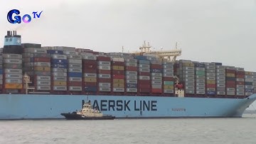 cảng cái mép ( CMIT ) đón chào Margrethe Maersk con tàu contener lớn nhất thế giới
