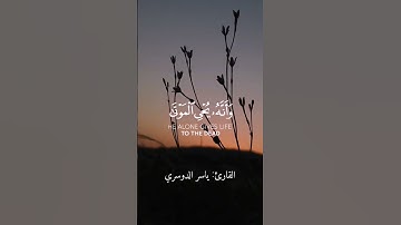(وترى الارض هامده.....) القارئ: ياسر الدوسري #قران_كريم #قرآن