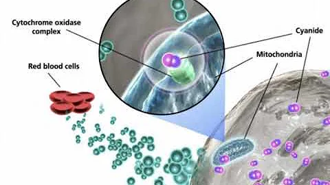 Podcast 574:  Cyanide Toxicity