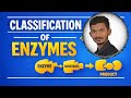 Classification Of Enzymes | Class 11 | Bs Bio Studio