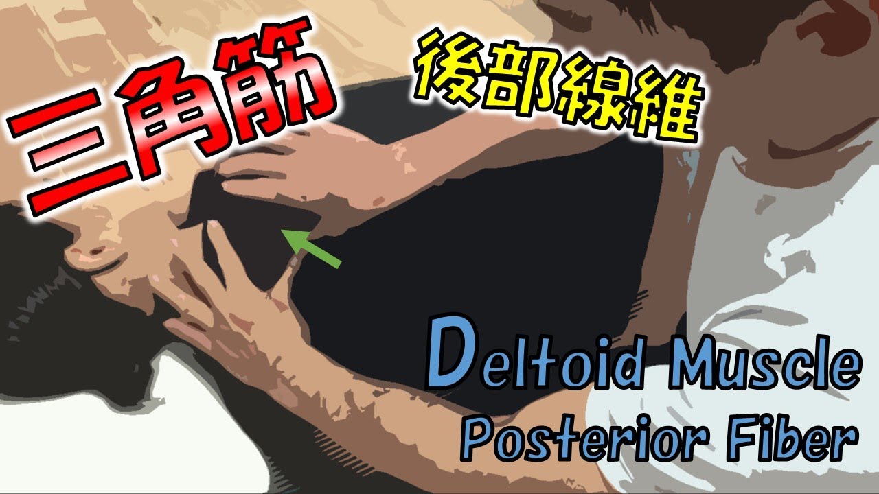 vol.230 三角筋後部線維リリース‼　～意外に痛みの訴えが多い場所～