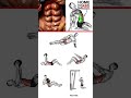 full abs  home workout plan 💪#workout #shoulder #chest #sixpack #back #legs #triceps
