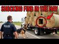 Police Dog Won't Stop Barking at Hay Bales - Officer Turns Pale When He Sees What's Inside
