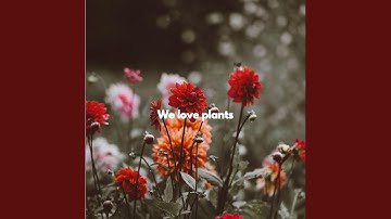 Mind-blowing Backdrops for Brave Keynotes