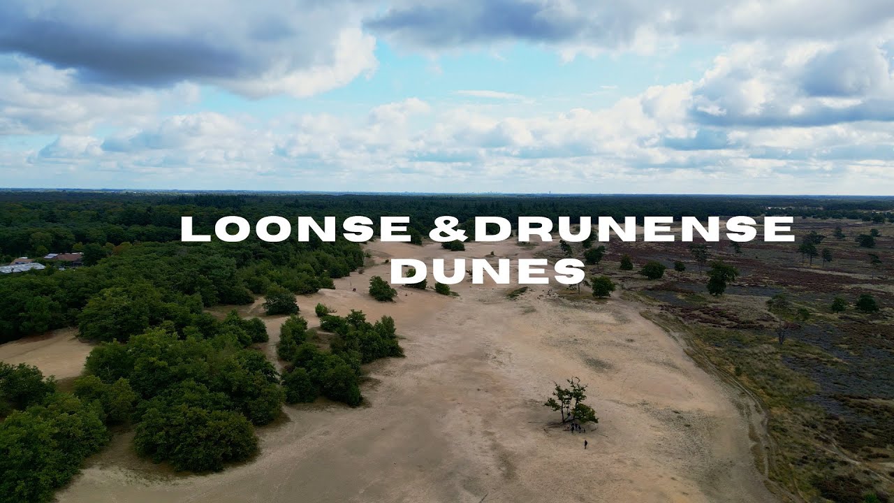 Loonse and Drunense Dunes - The Netherlands Relaxing Cinematic Aerial Drone Footage 4K