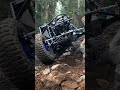 Quack attack buggy lines. Rock crawler, buggy, off-road.