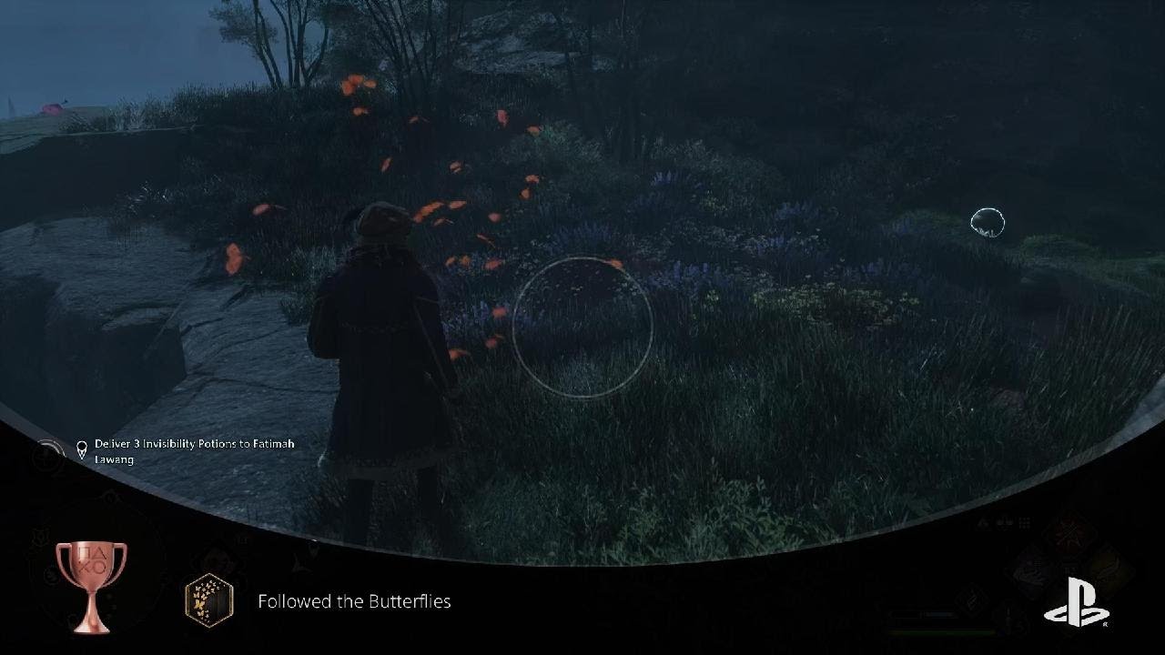 Hogwarts Legacy Followed the Butterflies Achievement YouTube