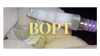 Bopt Provisional Step-By-Step