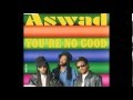 Miniature de la vidéo de la chanson You're No Good (Aswad Mix)