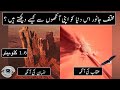 How Different Animals See The World | Urdu / Hindi