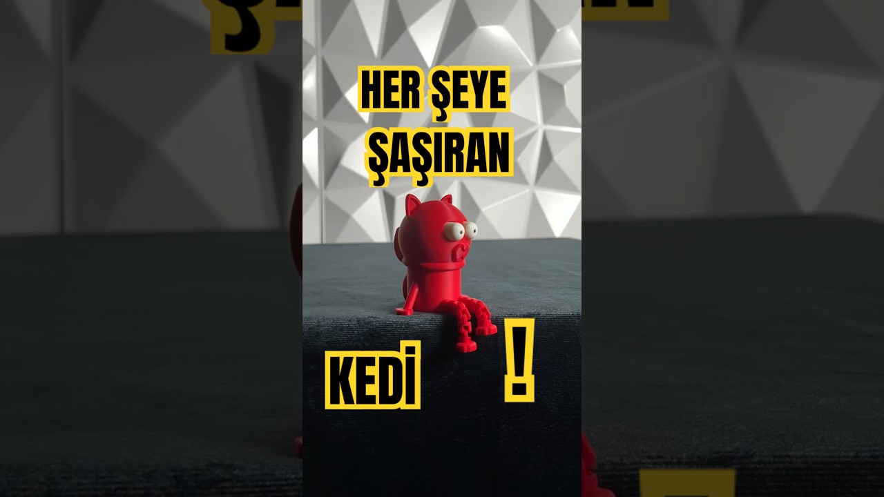 BU KEDİ HER ŞEYE ŞAŞIRIYOR! 😂