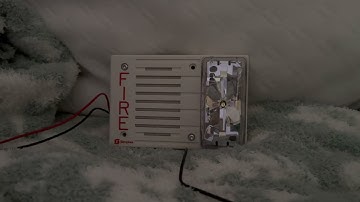 Simplex 4903-9167 Speaker Strobe with the Voice Evac Message (Please Read Description)